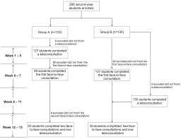 Flowchart Of Student Participation In The Eqclinic Medical