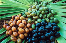 Both nutrients are gotten from botanical sources and doctors prescribe it to patients for relieving discomforts linked with hair loss, aging prostate and nutritional aiding healthy prostate functions. Saw Palmetto For Prostate Health Treating Hairloss In Men