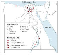 The hump on their back does not store water like many people think. Site Map Of The Collected Samples From Dromedary Camels And Domestic Download Scientific Diagram