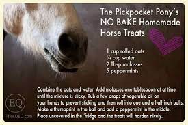 No Bake Home Made Peppermint Horse Treat Homemade Horse Treats Horse Treats Horse Cookies