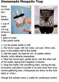 Homemade Mosquito Trap Works On Gnats Too Items Needed 1 Cup Of Water 14 Cup Of Brown Sugar 1 Gram Of Yeast 2 Liter Plastic Bottle 1 Cut The Plastic Bottle In Half