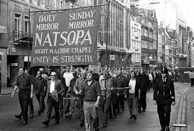 Image result for White 1972 Fleet