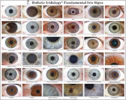 Iridology Chart Iris Eye Colors Chart Iridology Chart