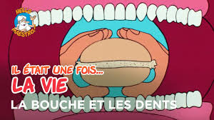 Guest stars and main cast list; Il Etait Une Fois La Vie La Bouche Et Les Dents Youtube