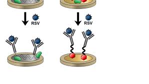 Electrochemical Immunosensors Based