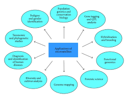 Application Of Microsatellite Markers In Conservation Genetics And Fisheries Management Recent Advances In Population Str In 2020 Structural Analysis Genetics Markers