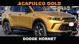 Image result for Acapulco Gold 2023 Chrysler