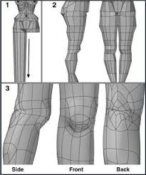 Modeling The Human Figure Model Fashion Illustration Tutorial Model Legs