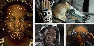 Vicon Cara — Curventa