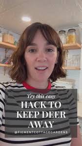 This account is part cottage garden design education and part deer damage  support group 😫 Today, I’m here to address the latter. , If you want an  easy, inexpensive organic deer deterrent for your ...