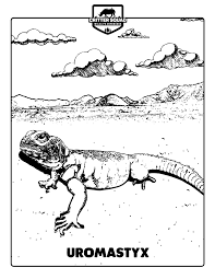 — you can quickly choose suitable pictures for your kids absolutely free of charge. Lizard Coloring Pages C S W D