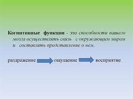 Когнитивные способности — это способности человека, связанные с обработкой. Kognitivnye Funkcii Pamyat Vnimanie Gnozis Praksis Myshlenie Intellekt Prezentaciya Onlajn