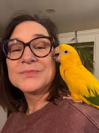 Does this bird with yellow and green bands belong to anyone in Greenville,  Indiana?