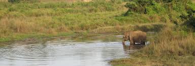 It was established in 1973 and granted the status of a world heritage site in 198. Chitwan National Park