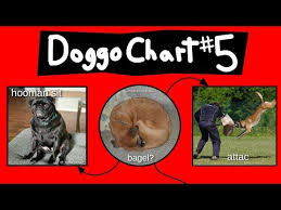 Doggo Chart Part 5 Hozzby Blog
