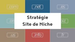 Prononciation de niche définition niche traduction niche signification niche dictionnaire niche quelle est la définition de niche. Comment Gagner De L Argent Avec Un Site De Niche Montrafic