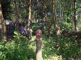 Für die kopulationsmethode ist anfang märz ideal, wenn der winter. Kunst Objekte Exotik Kunst Garten