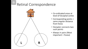 Red flags >1 cranial nerve deficit pupillary involvement other neurologic s/s alongwith diplopia pain proptosis. Diplopia V S Confusion Youtube