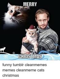 Merry Christmas Cat Memes