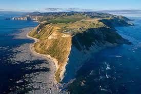Schnell und sicher online buchen. Why New Zealand Is An Attractive Destination For Scientists
