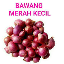 Bawang merah (allium ascalonicum) merupakan tanaman hortikultura musiman yang memiliki nilai ekonomi tinggi. Bawang Putih Bawang Merah Kecil Bawang Bombay Bawang Holland Shopee Malaysia