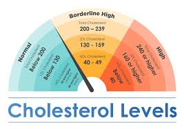 In brief, one can estimate this ratio instead of determining the usual hdl to ldl ratio. How To Reduce Cholesterol In Seniors Elmcroft