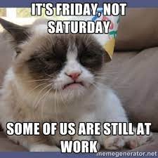 Grumpy Cat Friday Memes