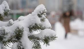 Қар жауады: демалыс күндеріне арналған ауа райы болжамы жарияланды