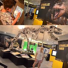 In dinoland zwolle ga je terug in de tijd van de dinosaurussen. Dinopark In Holland Spielplatze Urzeit Und T Rexpedition Elischeba