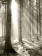 Robert "Bob" W. Rutledge View Condolences