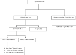 Thyroid Cancers Considerations Classifications And Managements Intechopen