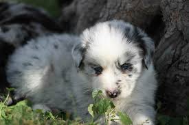 Not sure what she's doing, but she's cute 🩷