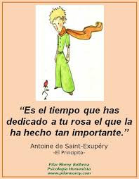 Pin En Le Petit Prince