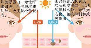 爱生活 carmen liew tst护肤保养 瘦身达人 blog posts blog map
