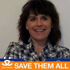 Spaceships and Laser Beams