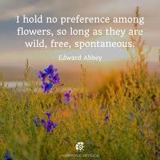 Well, i, for one, think we will survive, and i hope that along the way we can keep alive our experience with the flowering earth. 170 Wildflower Quotes Ideas Quotes Wildflower Quotes Flower Quotes