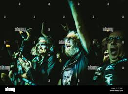 Image result for Strychnos lucens