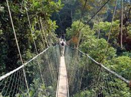 40,292 likes · 26 talking about this. 2d1n Taman Negara Full Board Package Ex Jerantut Taman Negara