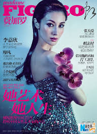 Hong Kong Actress Michelle Reis Makeup Hongkong