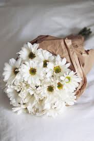 A Garden To Walk In And Immensity To Dream In Meaning Pin By Alicia Hollis On Blooming Spring Wedding Flowers Daisy Happy Flowers