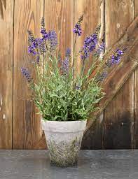 Faux Potted Lavender 20 Mills Floral Potted Lavender Faux Plants Potted Trees
