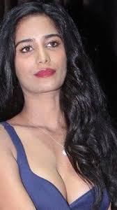 Poonam Pandey dies at 32 due to cervical cancer