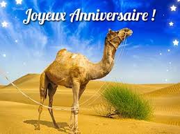 Découvrez les cartes pour adultes, pour enfant, pour anniversaire en retard, anniversaire personnalisé avec prénom et photo. Web Site Dromadaire Anniversaire Deja Allena