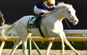 12:01 当たらない競馬予想etc 36 587 просмотров. 1