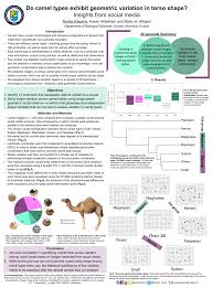 {do they not look at the camels, how they are created?} [quran 88: Pdf Do Camel Types Exhibit Geometric Variation In Torso Shape Insights From Social Media