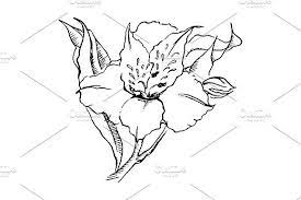 Alstroemeria Flower Sketch Vector Flower Sketches Art Vector Graphics Illustrations