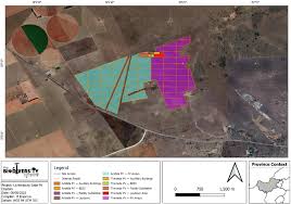 Image result for Chascanum adenostachyum