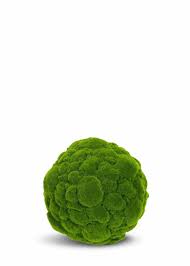 99 get it as soon as tue, jul 20 Charlton Home Artificial Moss Ball Round Topiary Reviews Wayfair