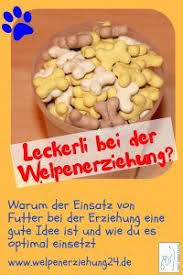 Leckerli Fuer Welpen Welpen Welpenerziehung Erziehung