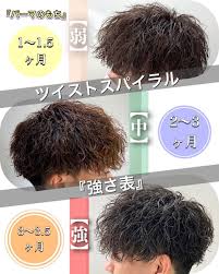 徳永 壮馬 オーシャントーキョー vマッシュ メンズパーマ on instagram 保存してカウンセリングにお使いください ツイストスパイラル の強弱について 弱 だんだんと落ちてくるゆるさ 次回以降ヘアスタイ マッシュ メンズ メンズパーマ